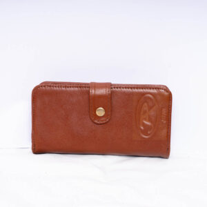 Fancy Brown Purse
